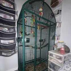 Bird Cage 