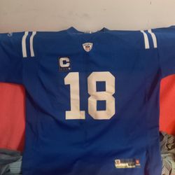NFL Jersey - Manning