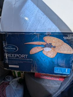 Ceiling fan