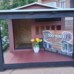Dog House 