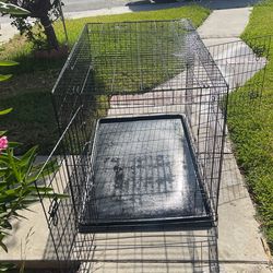 Dog Cage