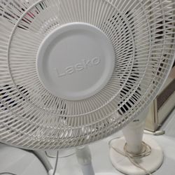 Fan