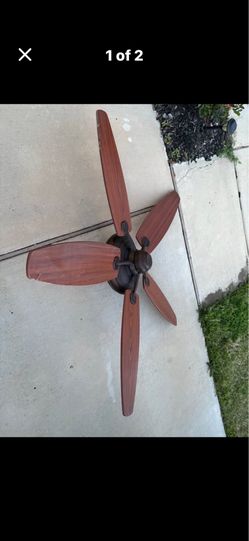Fan