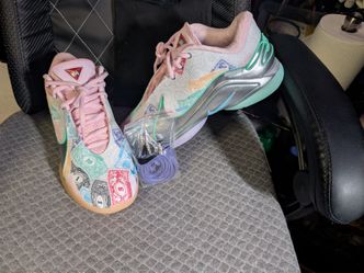 SUPER RARE LIMITED EDITION LEBRONS (Never Worn)