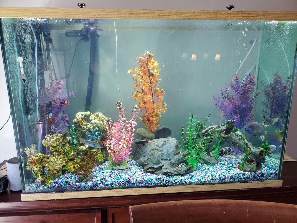 125 gallon fish tank with many extra items