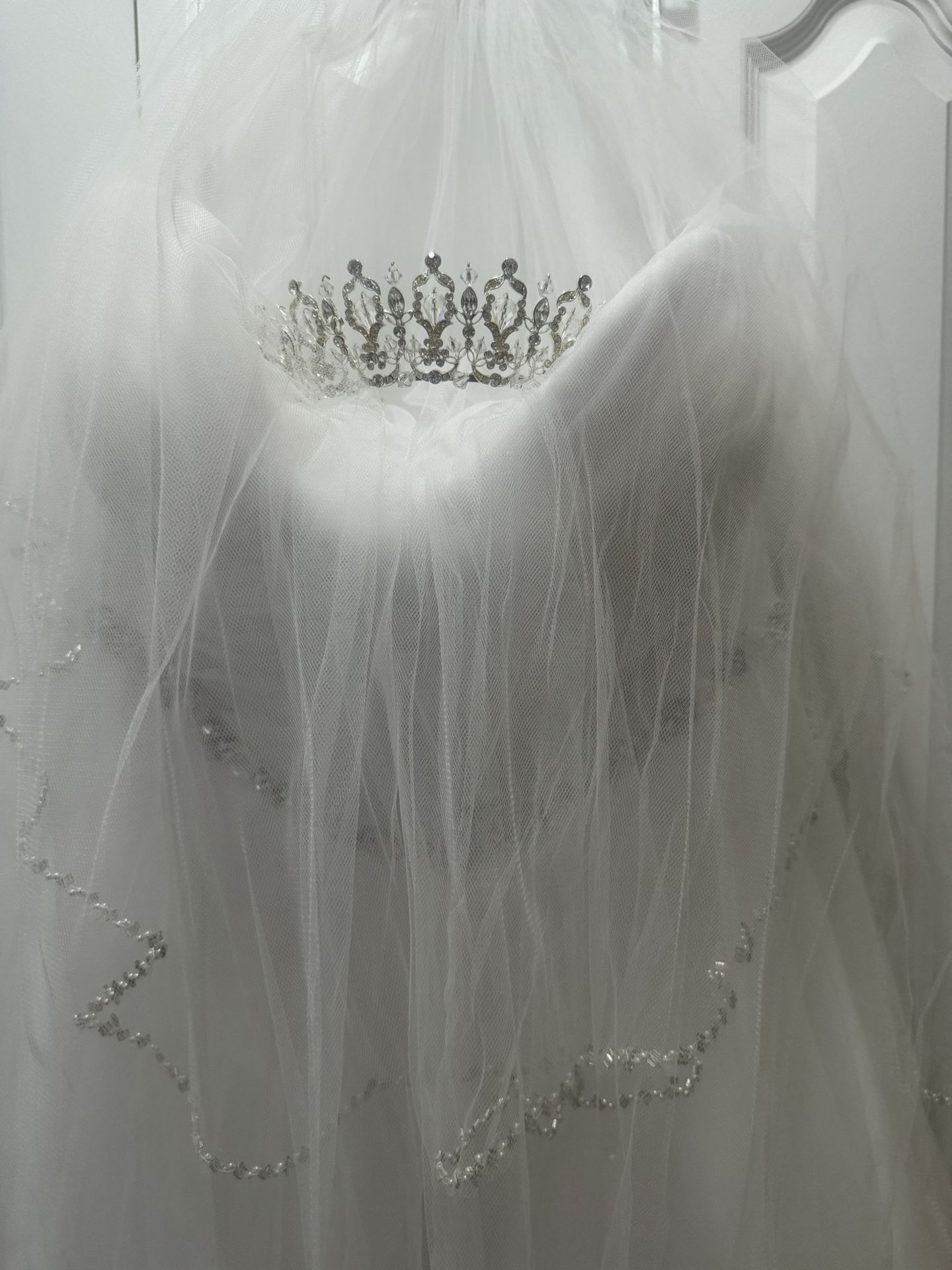 Size 22 Ball gown
