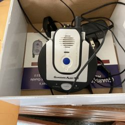 Guardian Alert System