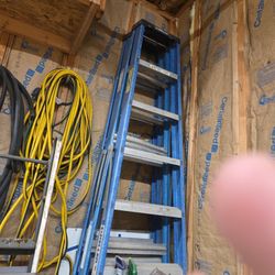 8foot Step Ladder