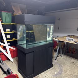 65 Gallon Fish Tank