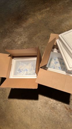 Stylaform cooler with ice pack x 5