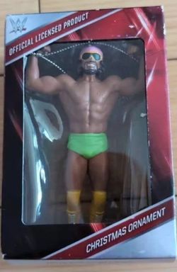 MACHO Man RANDY SAVAGE