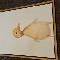 Duck painting