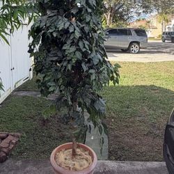 9ft Artificial Tree Home Decor