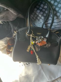 Coach bag