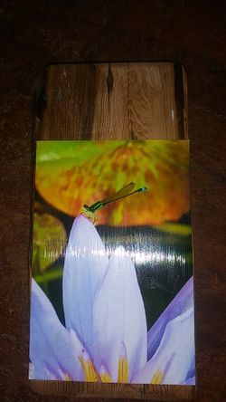 Dragon fly on water lily