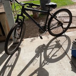 schwinn Bike