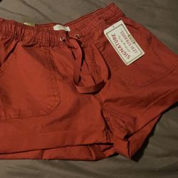 Brand New Levi Shorts