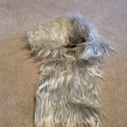 Halloween - Gray Hair And Beard