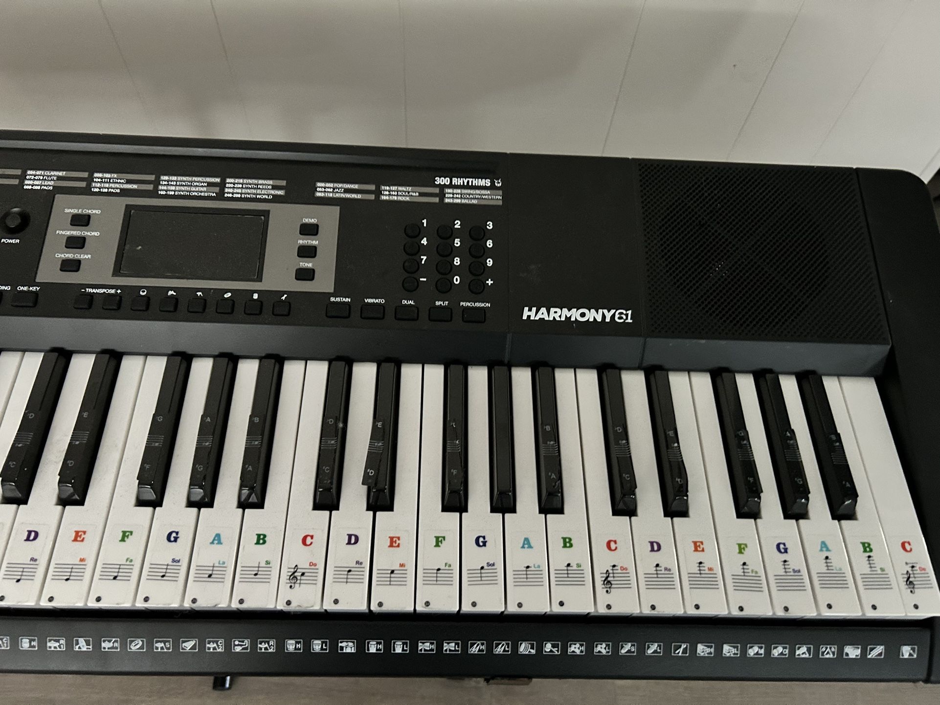 Piano Keyboard With Stand.