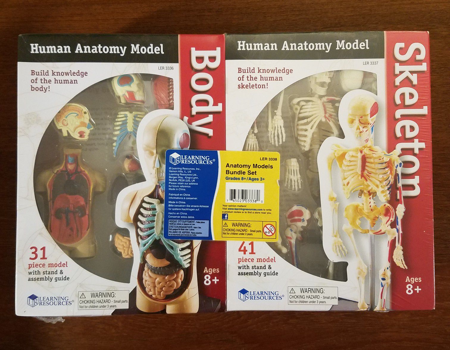 Learning Resources Human Anatomy Models Set of Four