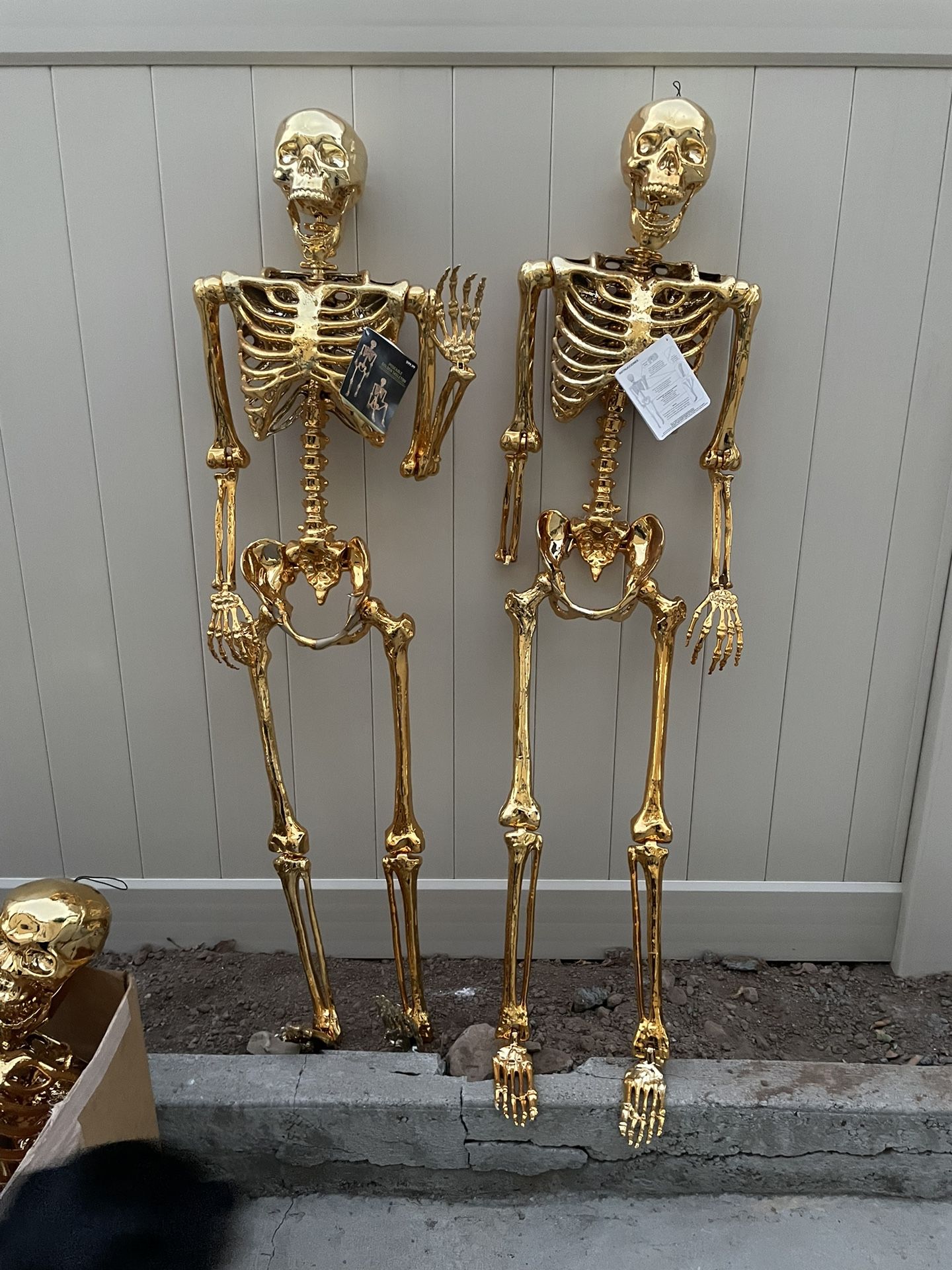 Gold Skeleton