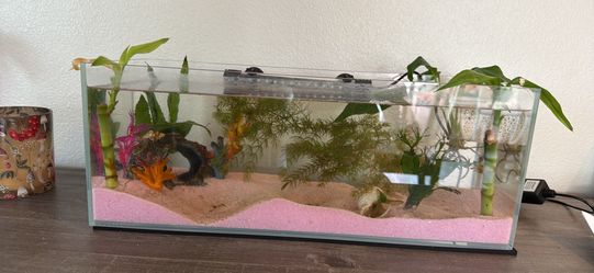 3 gallon glass fish tank