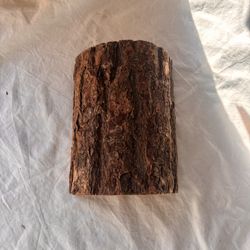 Reptile Natural Wooden Hide, Large