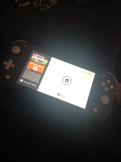 Nintendo Switch Lite