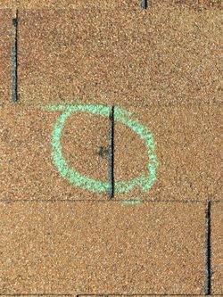 Roofing/shingles