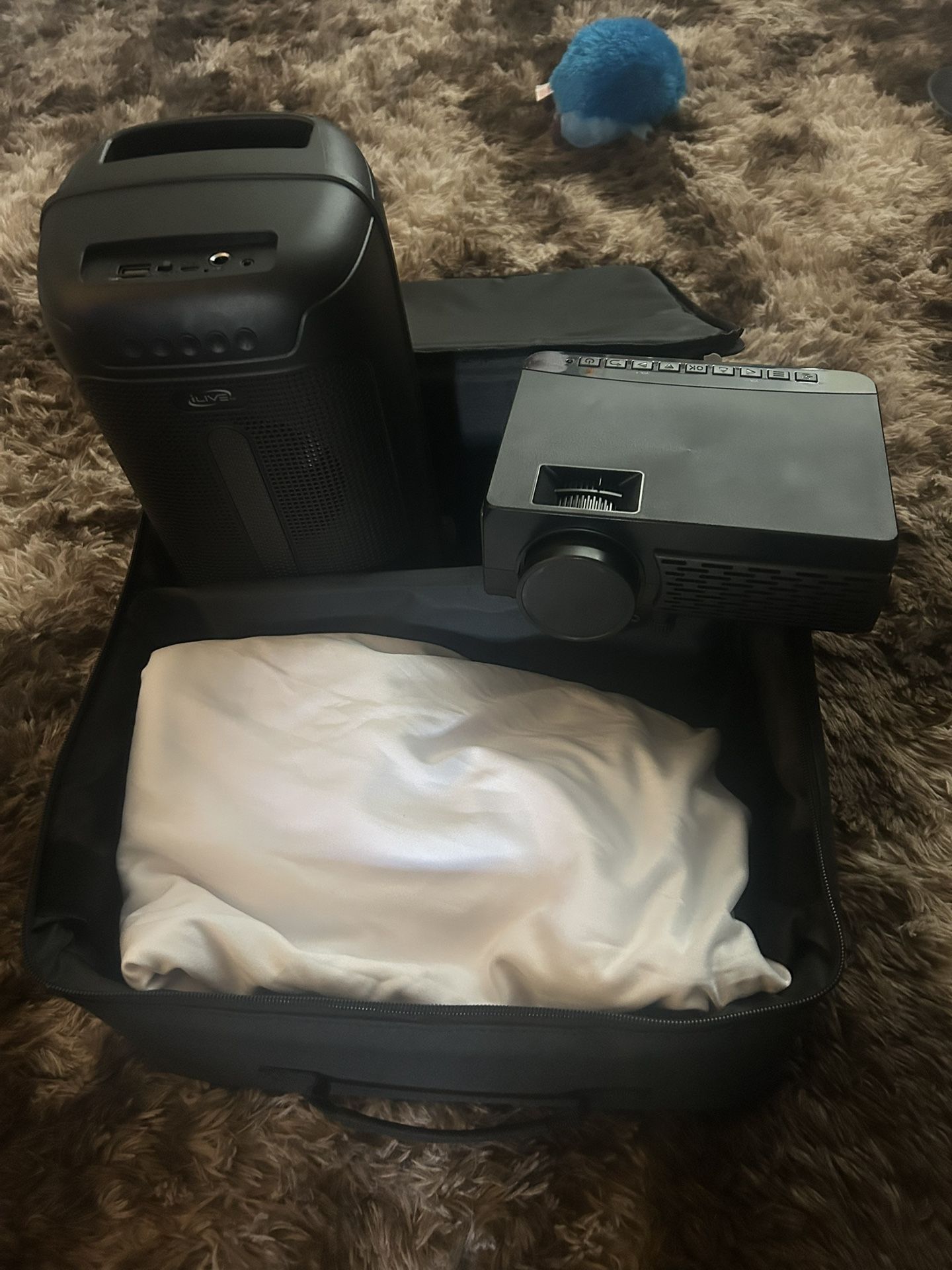 Projector