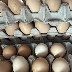 Fresh eggs/ huevos frescos / Flan Cake