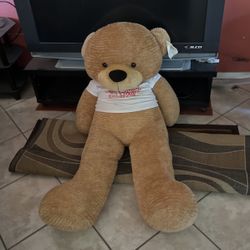 Teddy Bear 