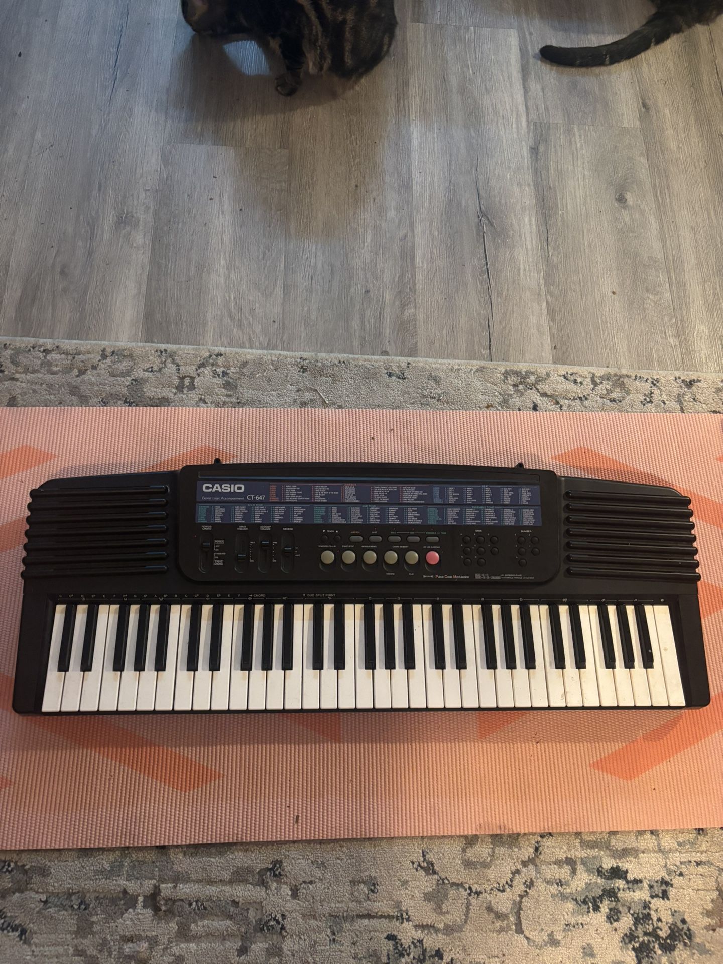 Casio Keyboard
