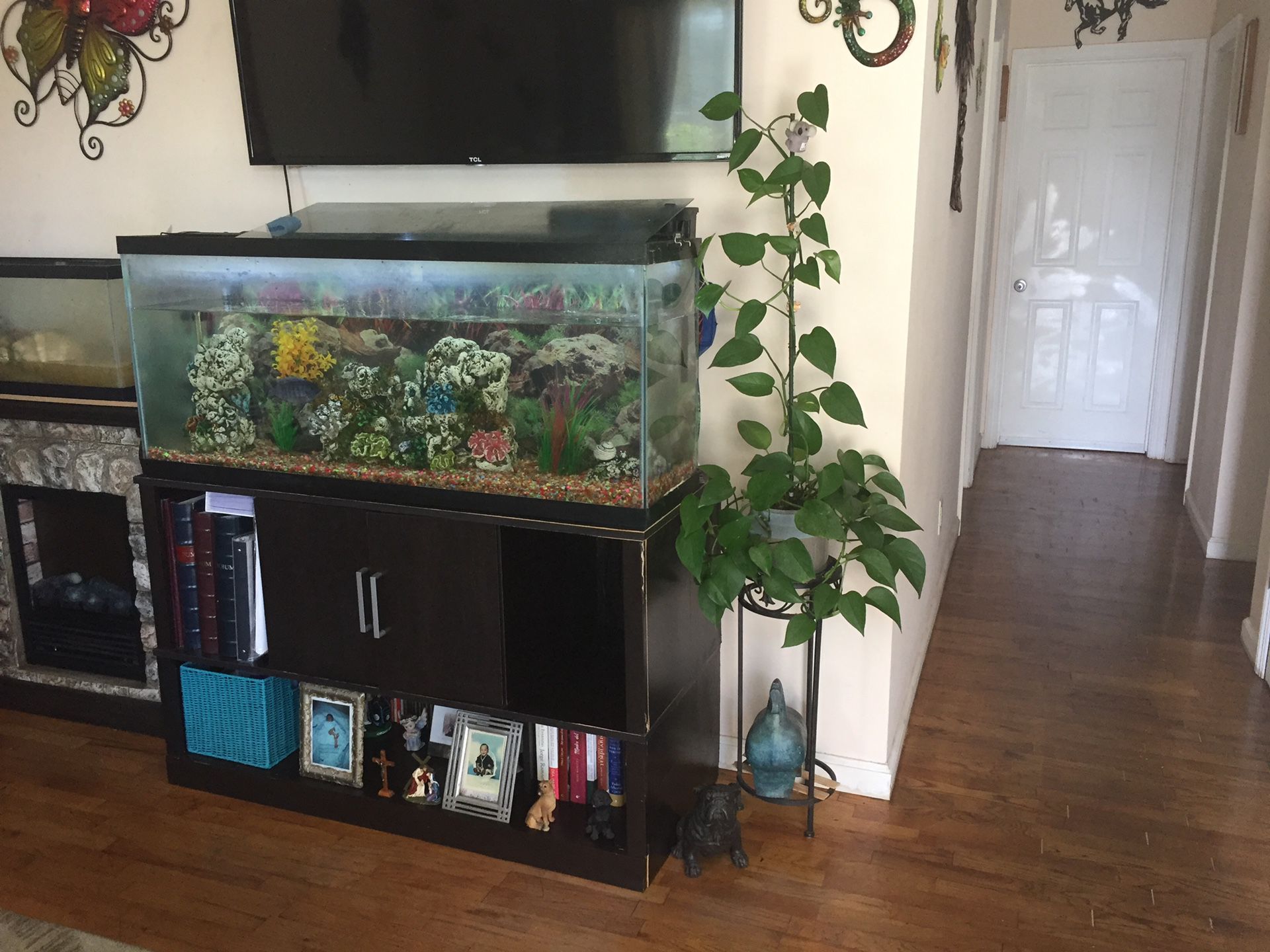 55 Gallon tank with Lots Of Items