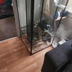 Glass Terrarium Large