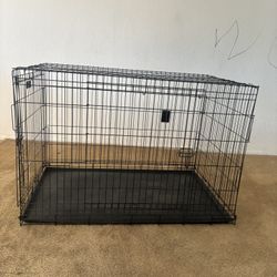 XL Dog kennel.  