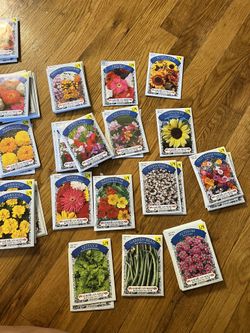 Vegetales and flowers seed