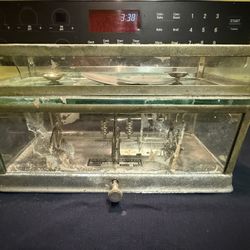 Antique Medical Balance Scale. The Torsion Balance Company Scale.