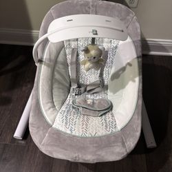 Ingenuity Baby Swing 