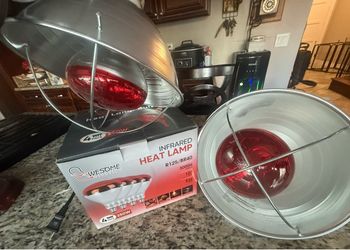 Heat lamps
