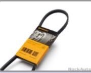 Power Steering belt