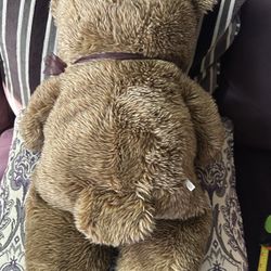 Bear Plush