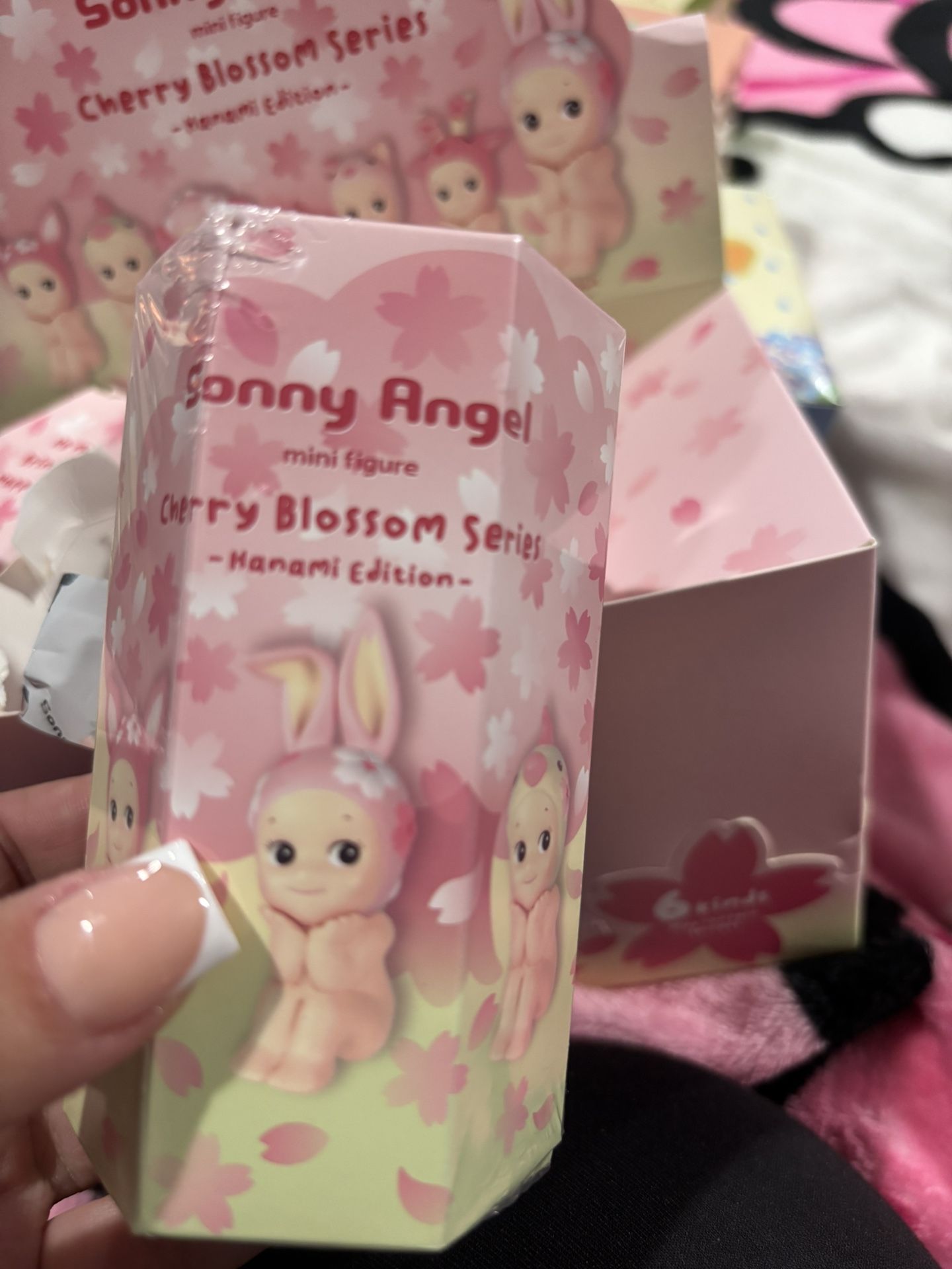 cherry blossom