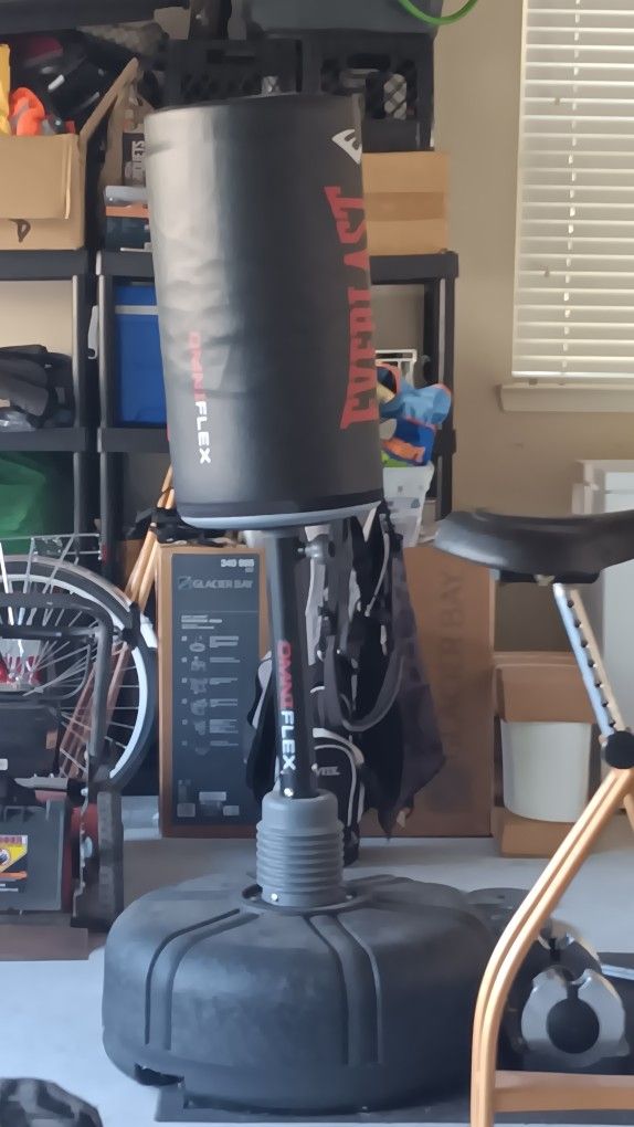 Standing Punching Bag