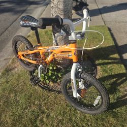 Kids Bike Schwinn Adventure In 16", Hand And Foot Brakes, 3-7 Years, Very Good Condition 