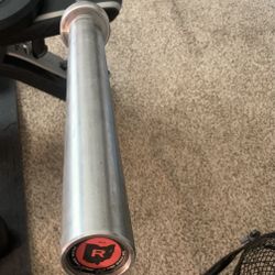 Rogue Ohio Barbell And 2-25lb Rogue Bumper Plates