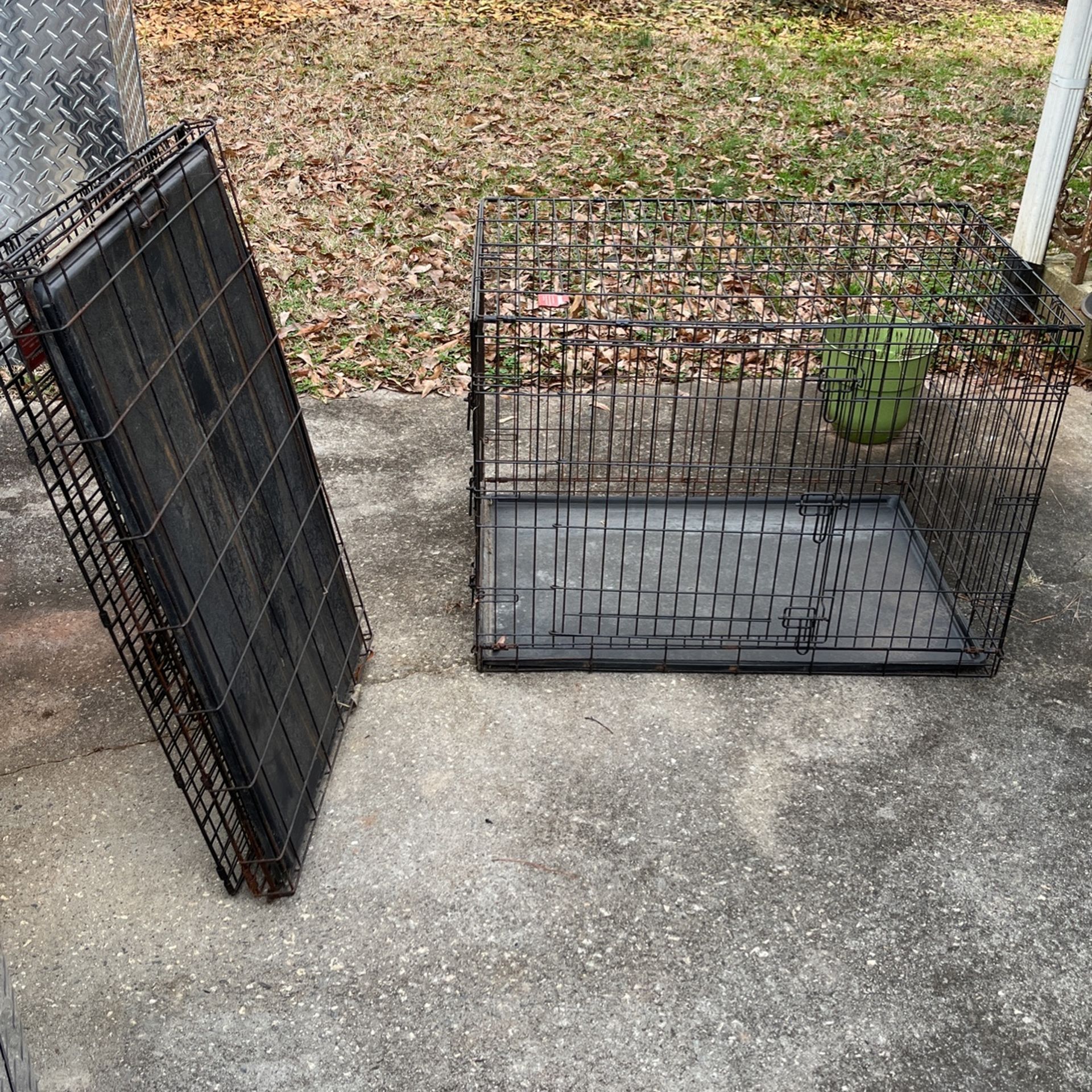 Dog Cages 2 Available