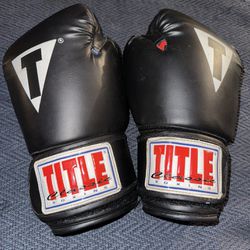 Title Classic Boxing Gloves 
