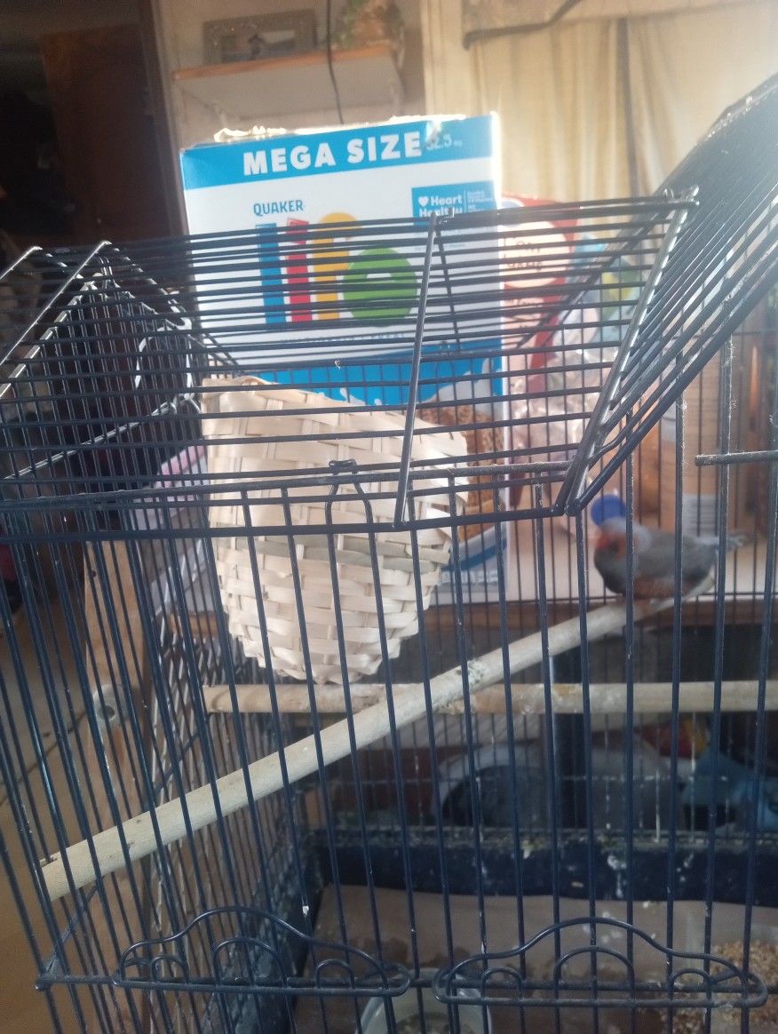 bird cage