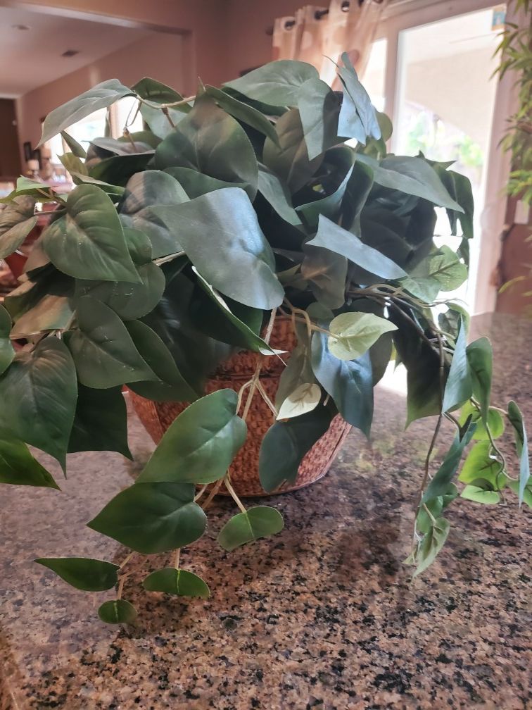 Fake green plant